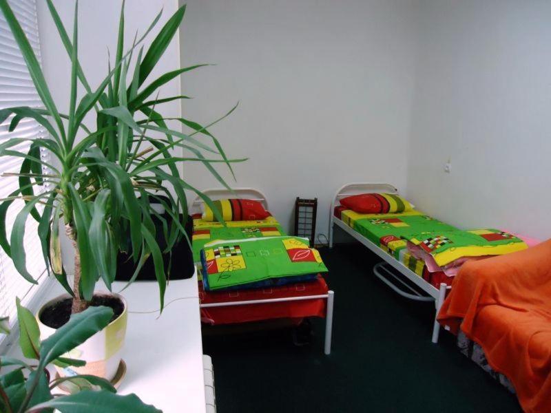Hostel Kreshatik Kiev Oda fotoğraf